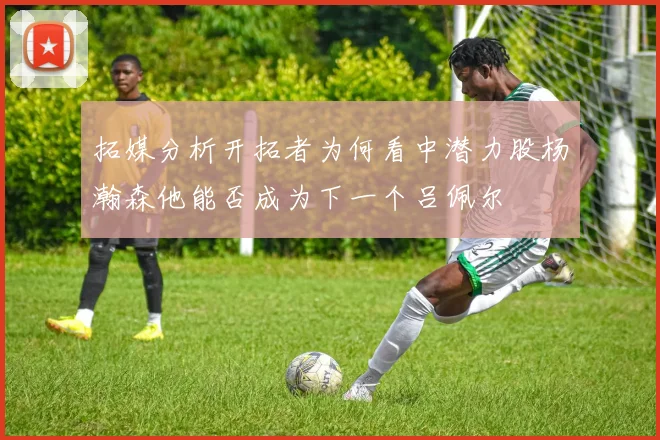 拓媒分析开拓者为何看中潜力股杨瀚森他能否成为下一个吕佩尔